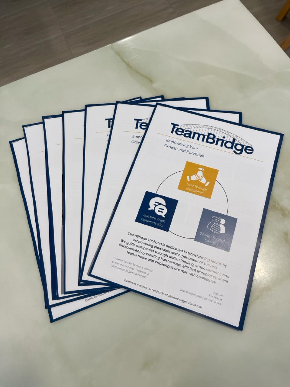 TeamBridge Thailand gallery image 5